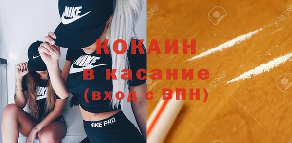 твердый Дмитриев