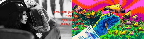 твердый Дмитриев