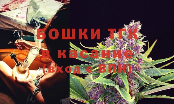 твердый Дмитриев