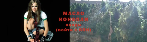 твердый Дмитриев