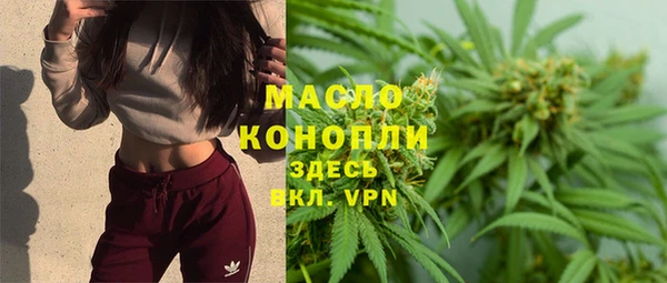 твердый Дмитриев
