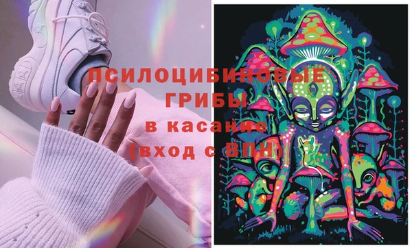 твердый Дмитриев